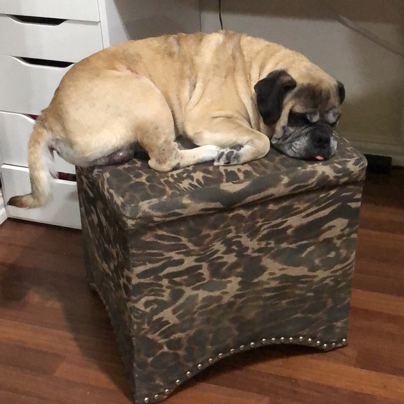 Thank you for being a blessing to my home! 💗 - Picture 4 of 7